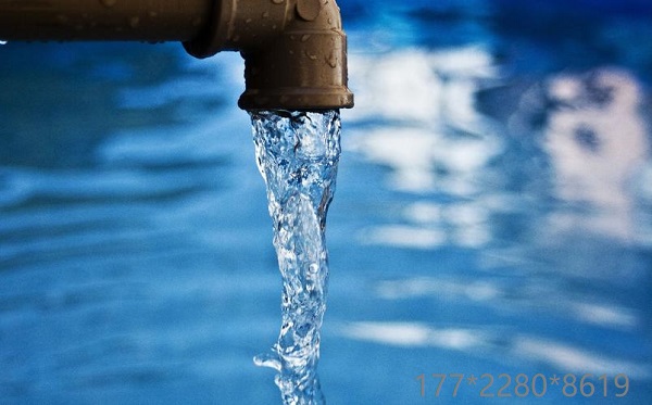 1715415486167069.jpeg 1715415486167069.jpeg